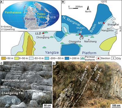 Biotic Response to Rapid Environmental Changes During the Permian–Triassic Mass Extinction